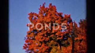 Nostalgia Alert Relive the Golden Hues of 1966 Wauseon Ohio in Stunning 8mm Home Movies [upl. by Eened]