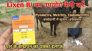 Lixen IU का उपयोग गायभैंसों में कैसे उपयोग करें Metritis Endometritis Pyometra Repeat Breeding [upl. by Rosalynd725]