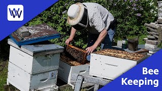 Bee Keeping  WPBS Weekly Inside the Stories [upl. by Meraree402]