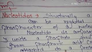 What is the Difference Between Lanthanides and Actinides  Chemistry Concepts [upl. by Aicilaana377]