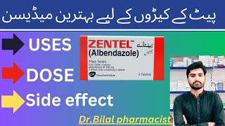 Zentel syrup uses mechanism dose precaution Zentel tablet uses benefits side effect in urdu [upl. by Rizas]