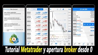 Tutorial Metatrader 4 MT4 principiantes desde cero [upl. by Shantee]