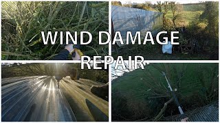 Fixing Damage Caused By The Wind and Shed Maintenance [upl. by Anitsim]