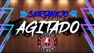 SERTANEJO TRADICIONAL AGITADO [upl. by Nirihs]