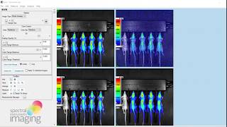 Aura Imaging Software Analysis Tutorial [upl. by Tsuda]