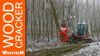 Energieholzernte KUP Feldtag in Wieselburg [upl. by Adnylem]