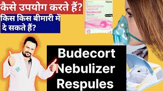 Budecort Nebulizer repsule uses [upl. by Anhoj215]