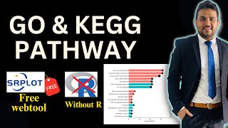 How to draw GO and KEGG pathway [upl. by Huntlee971]