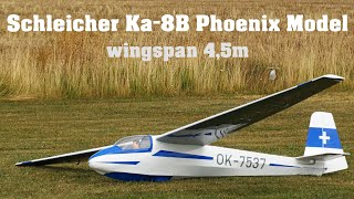 Schleicher Ka8B Phoenix Model 45m  scale RC glider  4K  Rokytnice 2023 [upl. by Randolph]