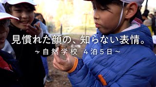 学校行事（小学校編）～兵庫県教員採用～ [upl. by Bourgeois799]