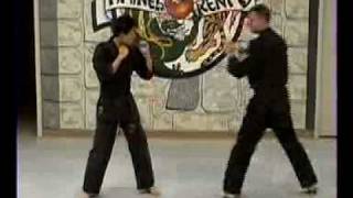 10 Five Animal Kenpo Sparring Techniques [upl. by Oslec15]