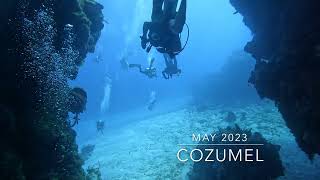 Scuba Diving Cozumel May 2023  FPose [upl. by Caleb]