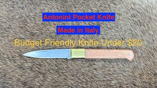 Antonini Pocket Knife Budget Friendly Knife Under 20 [upl. by Nelyahs]