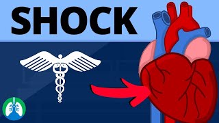 SHOCK V4l SEPTIC SHOCK I STAGES OF SHOCK [upl. by Annayd]