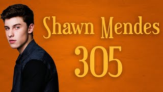 Shawn Mendes  305 Instrumental [upl. by Asereht]