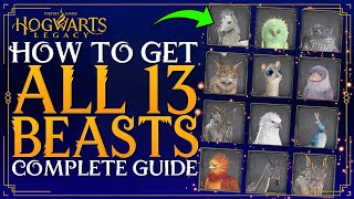 Hogwarts Legacy  How To Get ALL BEASTS  Complete Guide On All Beast Den Locations amp How To Tame [upl. by Kleon564]