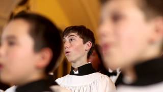 About the Chattanooga Boys Choir [upl. by Ffilc]