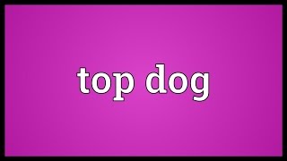 Top dog Meaning [upl. by Aicekal461]