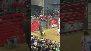 PRCA Saturday Night Rodeo Bull Riding at Midwest Horse Fair [upl. by Laurent789]