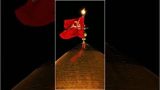 Karbala 4k Status l Karbala Sharif l Whats App Status l 2024 shorts karbala viralvideo [upl. by Dranik300]