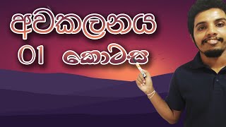 Differentiation  Part 01  Combined Maths AL in Sinhala  Janidu Rashmika [upl. by Rosana]