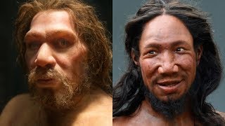 The Differences Between Neanderthals and Humans [upl. by Coralie]