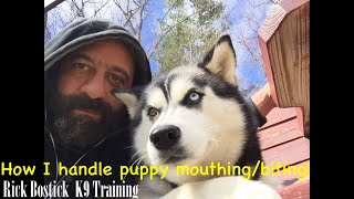 How I Handle Puppy Mouthing Biting Part Nine  Puppy Series [upl. by Doig]