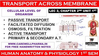 Transport across membrane  L2 Ch2 Unit 1  hap 1st semester b pharmacy  Carewell Pharma [upl. by Airdnaid447]