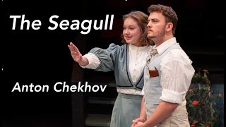 The Seagull [upl. by Jacobba]