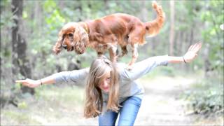 Amazing cocker spaniel Scooby  tricks amp agility [upl. by Naillik]