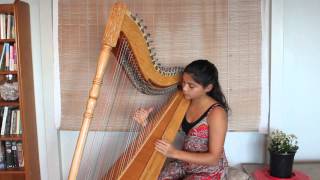 Paraguayan harp  Cascada played by Fizzi Whale [upl. by Aivan]