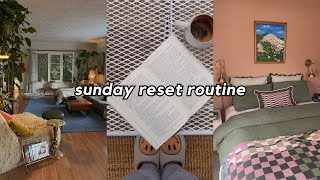 sunday reset vlog cleaning the apartment unboxing home decor trader joes haul 🪴 [upl. by Boggs]