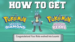 HOW TO EVOLVE RIOLU INTO LUCARIO FAST IN POKEMON BRILLIANT DIAMOND AND SHINING PEARL [upl. by Macguiness885]