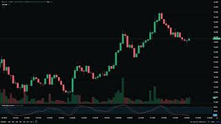 Bitcoin Price Watch  LoFi Hip Hop [upl. by Birkett]