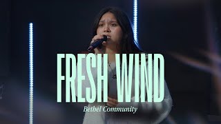 Fresh Wind  Bethel Community  Hillsong Worship cover [upl. by Aurie]