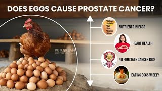 Do Eggs Cause Prostate Cancer [upl. by Laurinda]