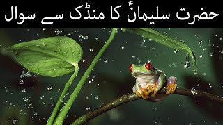 Hazrat Suleman Ka Mendak se Sawal Frog  Qasasul Anbiya  Qissa Story  Mehrban Ali  Mehrban TV [upl. by Winzler]