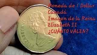 DOLLAR DE CANADÁ Año 1988 Reina Elizabeth II Imagen de somorgujo Color dorado Escasa y valiosa [upl. by Schmitz]