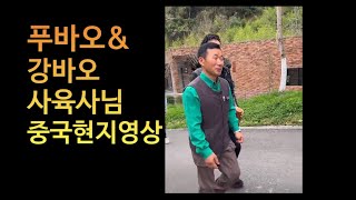 푸바오 amp 강바오강철원 사육사님 중국 온 날 션슈핑神树坪基地 방문 4344 중국팬들이 많고 고맙다고 수고했다며 인사 [upl. by Sibelle]