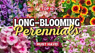 10 Long Blooming Perennial Flowers Add Vibrant Colors to Your Garden All Season Long 👌🌻💚 [upl. by Sonnnie]