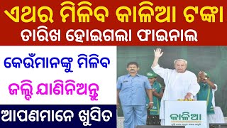 kalia yojana big update odisha 2019kalia yojanakalia yojana odisha [upl. by Haeckel270]