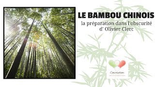 Métaphore BAMBOU CHINOIS la préparation dans lobscurité [upl. by Ferrigno]