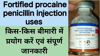 Fortified procaine penicillin injection uses in veterinary medicine । पेनिसिलिन इंजेक्शन का उपयोग ।। [upl. by Enahsed]