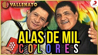 Alas De Mil Colores Los Hermanos Zuleta  Letra Oficial [upl. by Bittner]