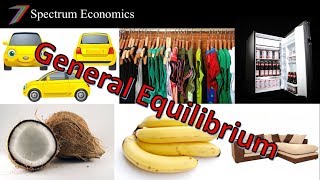 General Equilibrium Theory  Understanding the Basics [upl. by Akived665]