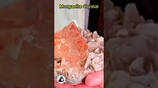 Morganite Crystal💎💎❤️❤️ crystals morganite morganitering gemstone gemsnceylon preciousstone [upl. by Neelear572]