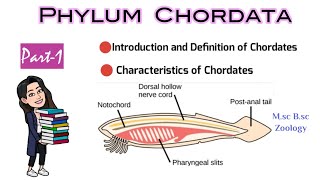 Part1 Introduction and Definition of ChordatesCharacteristics of ChordatesMsc Bsc Zoology NEET [upl. by Ellenahc688]