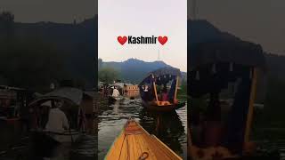 Nigaro kashmiri songkashmirnatureviralvideo trendingvideo [upl. by Ahsemot]