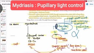 Mydriasis  Pupillary light control opthalmology 25 First Aid USMLE Step 1 in UrduHindi [upl. by Aym210]