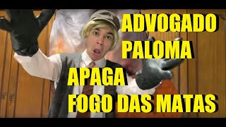 Advogado Paloma OUSA e apaga FOGO DA MATA [upl. by Slyke]